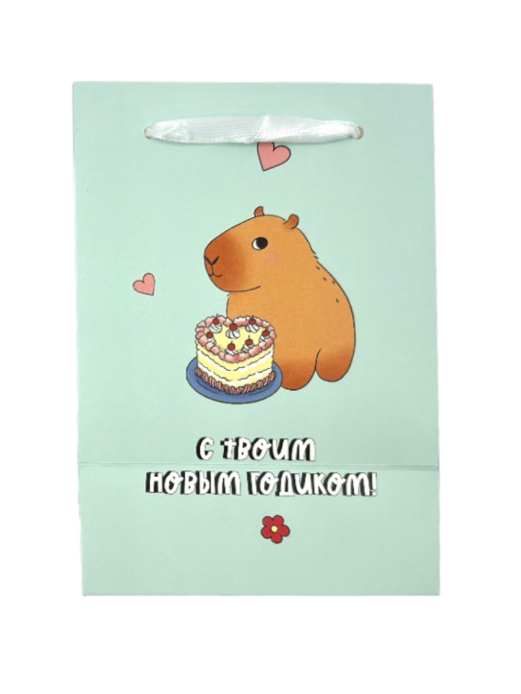Пакет подарочный Capy