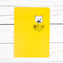 Красивые и прикольные тетради для девочек купить в интернет-магазине ...